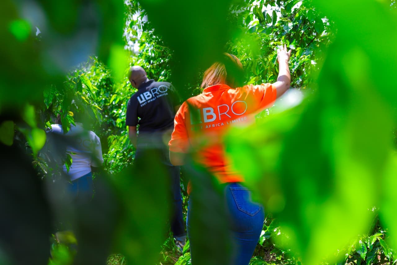 Libro East Africa team at a Kenyan coffee farm